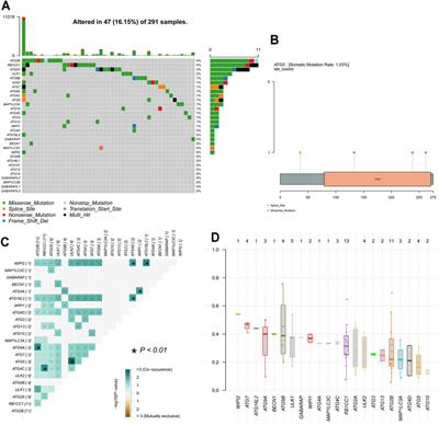 Increased ATG5 Expression Predicts Poor Prognosis and Promotes EMT in Cervical Carcinoma